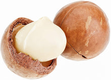 Load image into Gallery viewer, Treat Of The Day! Organic Macadamia Nuts - Raw Kernel 16oz (1LB)

